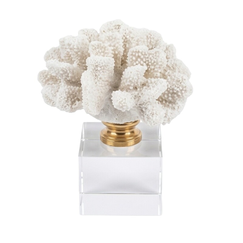 DECO CORAL BLANCO 6.5X17CM Unica