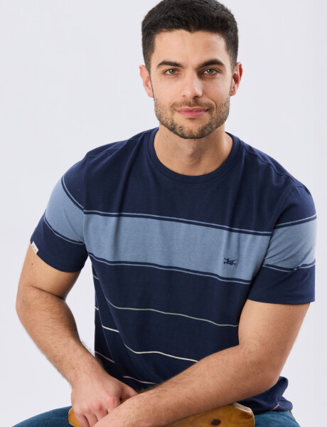 REMERA RAYADA DE ALGODÓN Azul