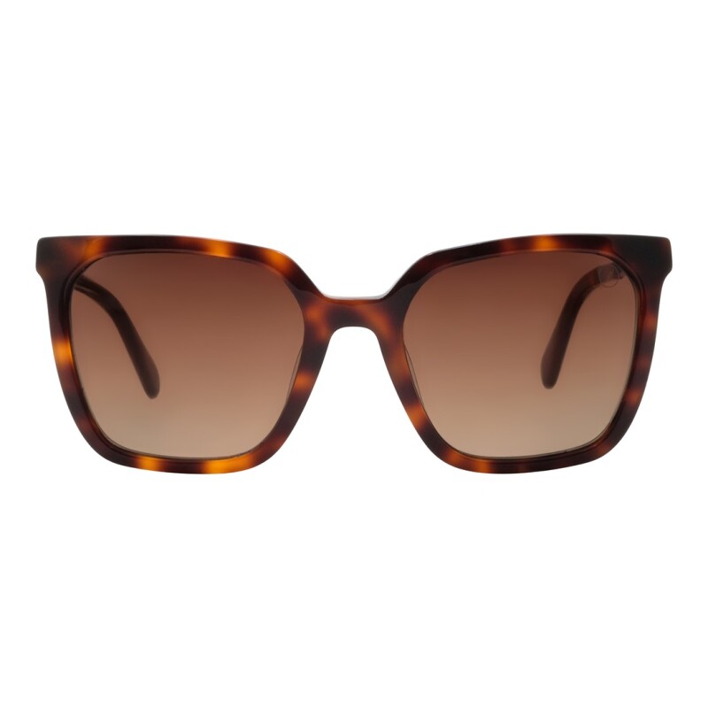 Lentes de Sol Chilli Beans Baffin Animal Print