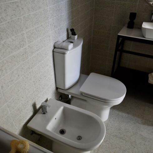 Griferia De Bidet Monocomando Cromo Clever Con Transferencia CROMO