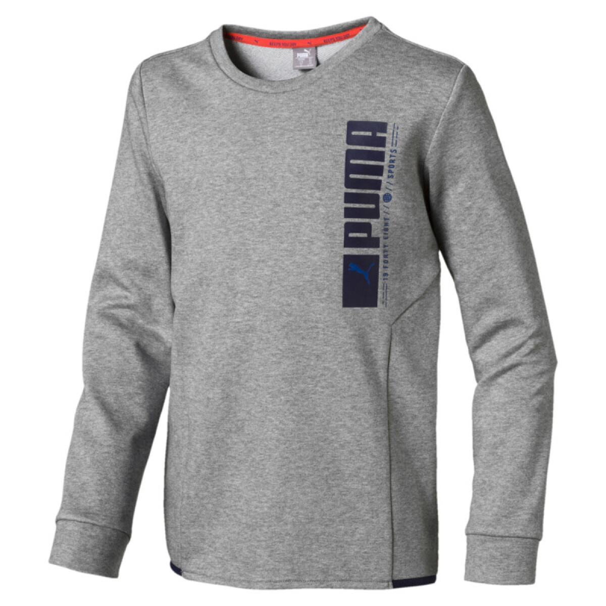 Act.Sp.Crew TR B 58024903 - Gris 