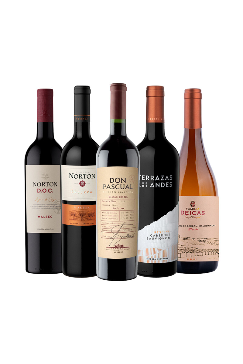Pack Bacán Selección Pasión Charrúa x5 vinos 