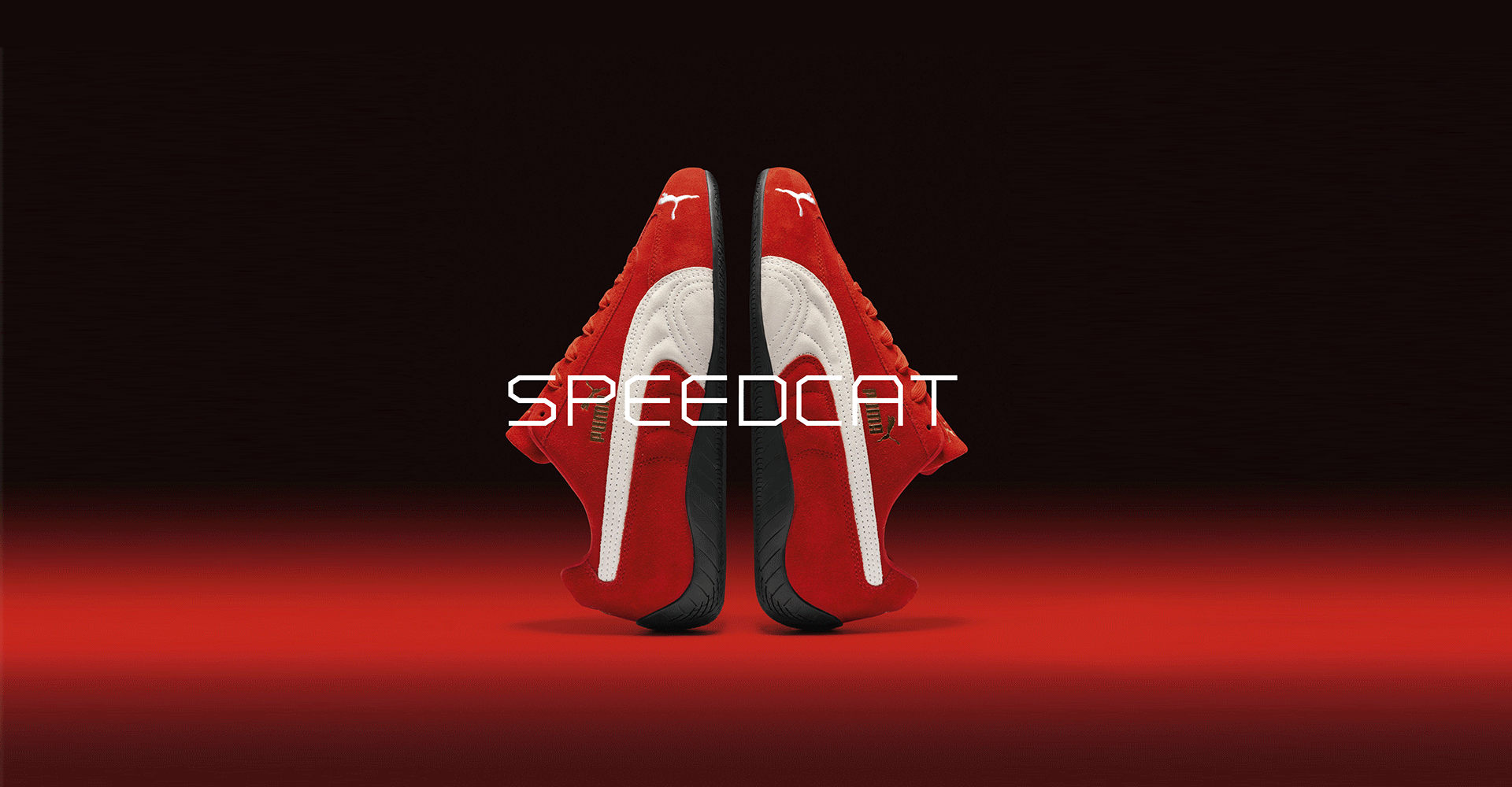 SPEEDCATS