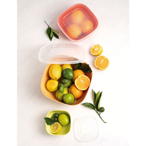 Juego 3 potes diferentes tamaños c/ tapa MIX COLOR -TRAMONTINA TN9812