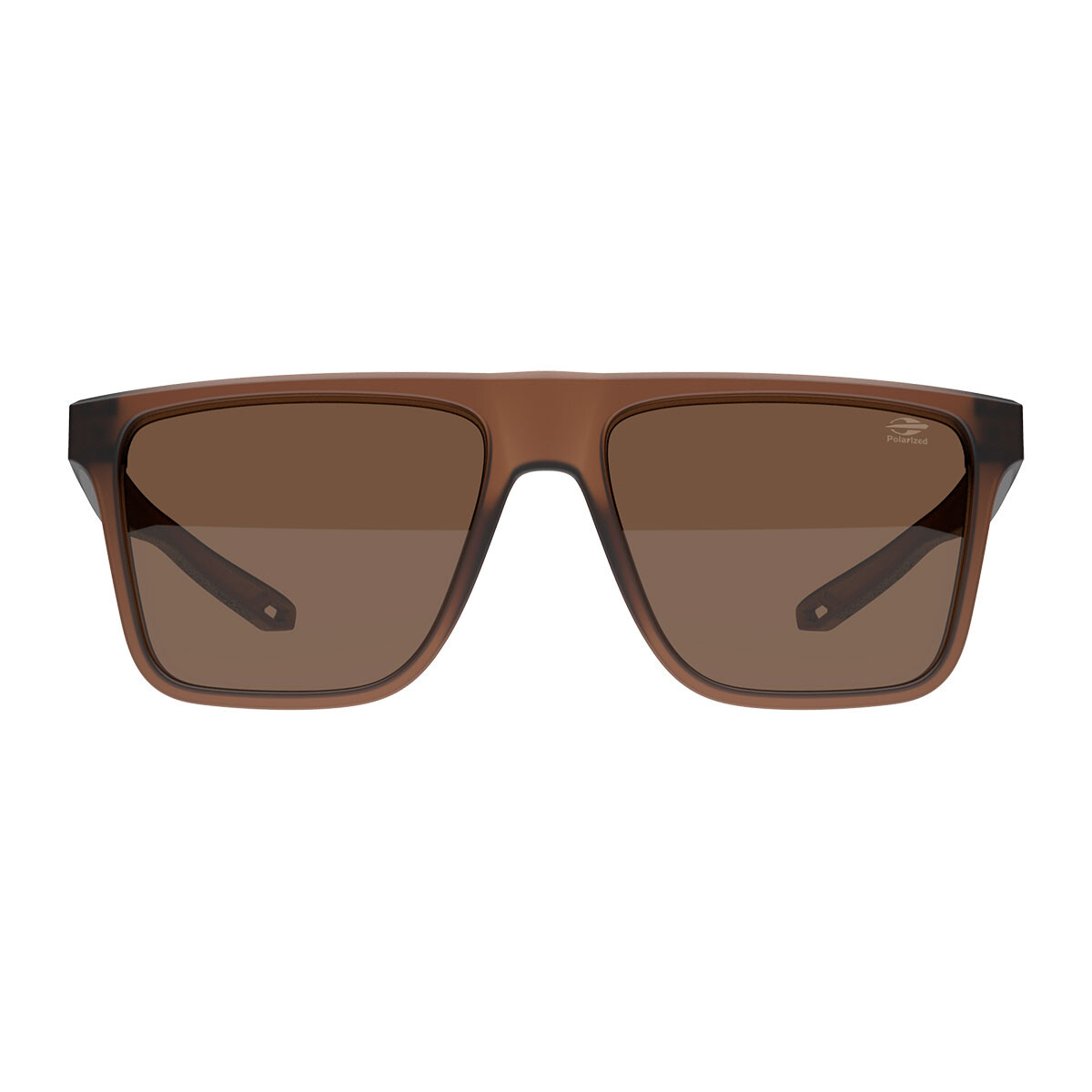 Mormaii Melbourne col J0736 polarized 