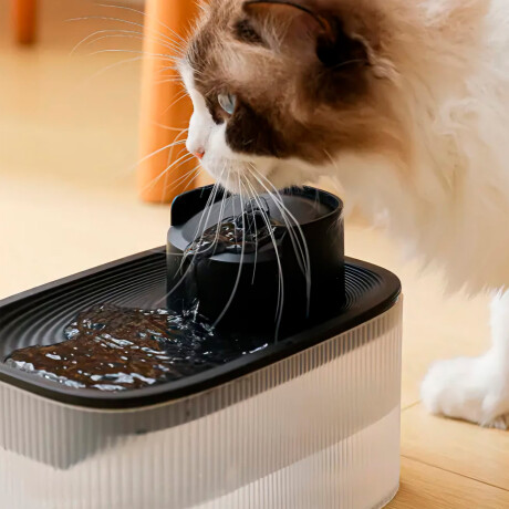 Bebedero Fuente Automática Para Mascotas Gatos Perros Bebedero Fuente Automática Para Mascotas Gatos Perros