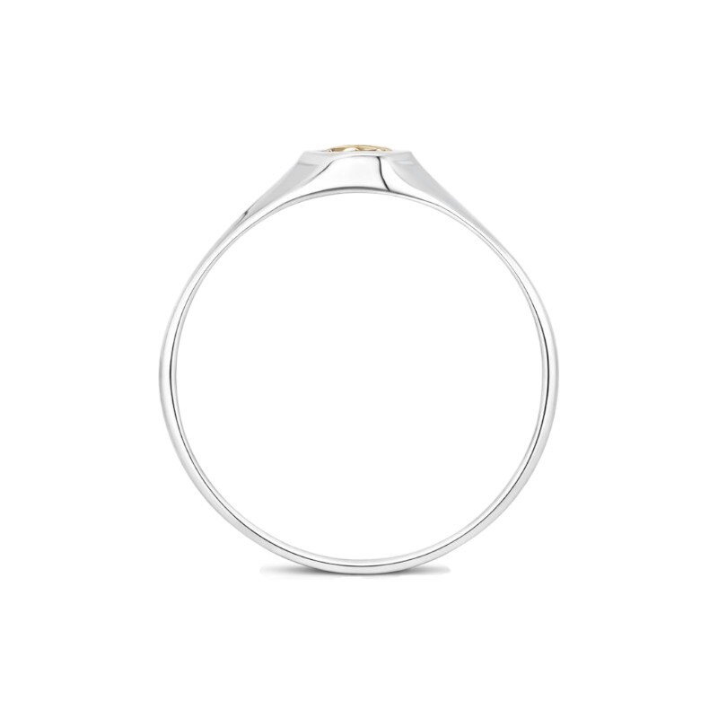 Anillo Profesión Profesor - Plata y Oro-Sin Piedra-AP5042 ap5042