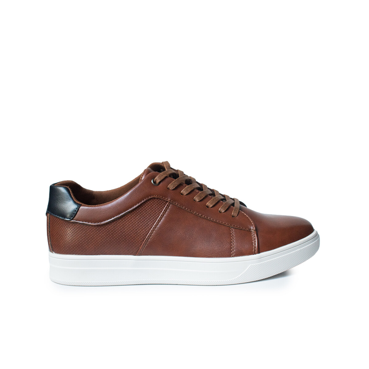 Zapato Hombre Panama Jack - Brown 