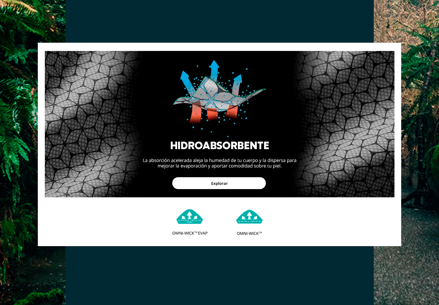 HIDROABSORBENTE