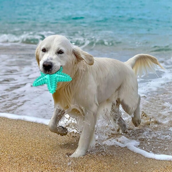 Juguete Perro Dental Morder Higiene Estrella Marina Flotante Color Variante Verde Agua