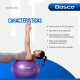 Pelota 65 Cm Pilates Yoga Bosco Gimnasia + Inflador De Pie Violeta