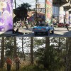 PREVENTA Grand Theft Auto VI - Standard Edition PREVENTA Grand Theft Auto VI - Standard Edition