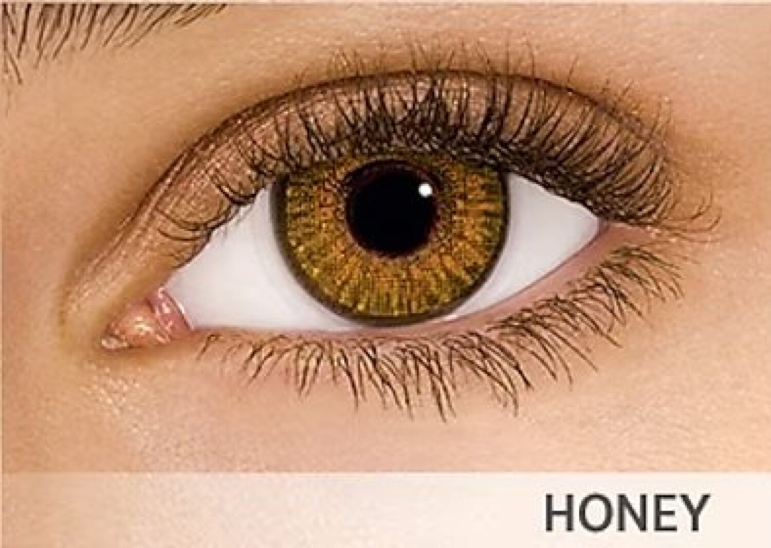 AirOptix FreshLook Contact Lenses Color miel — Optica Americana