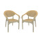 Set x2 Sillas con apoya brazos BEIGE
