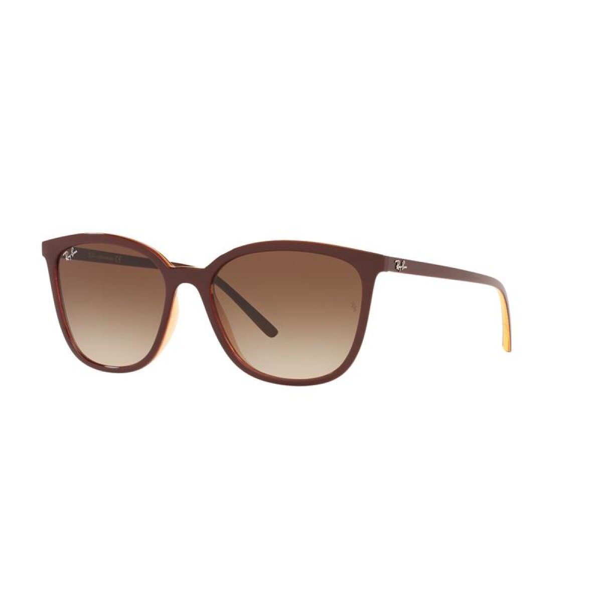 Ray Ban Rb4350l - 653713 