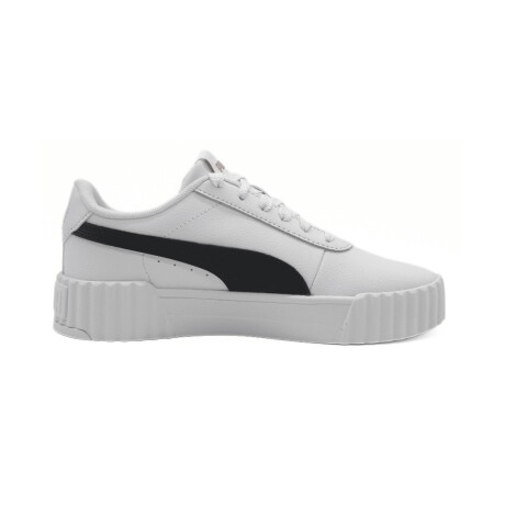 Champion Puma Dama Carina 3.6 S/C