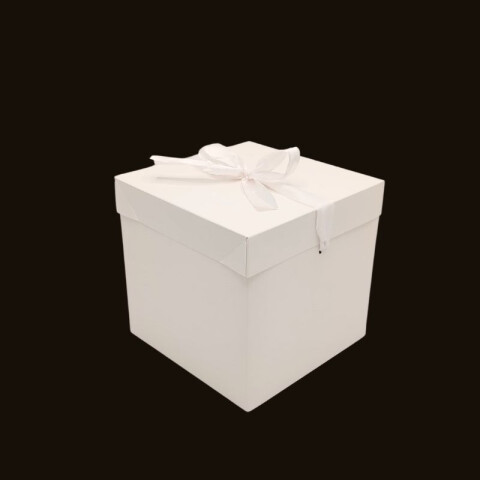 Caja de Regalo Chica Blanco