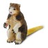 Canguro Arbol Matschie Safari Figura Muñeco Realista Canguro Arbol Matschie Safari Figura Muñeco Realista