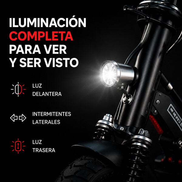 Monopatin Electrico Scooter Pro Gogreen Silence R10 30Km/h Variante Color Negro
