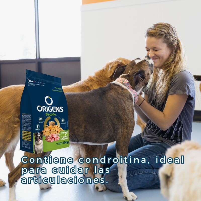 Galletitas Origens Biscoito 400 G Perros Pollo + 7 Cereales Galletitas Origens Biscoito 400 G Perros Pollo + 7 Cereales