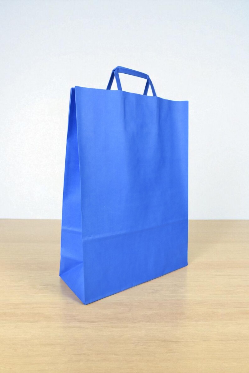 Bolsa lisa acuario 30x12x41 cm - AZUL 