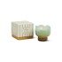 TULIP Vela Tulip De Vidrio 5.5oz Paddywax - Wisteria & Willow