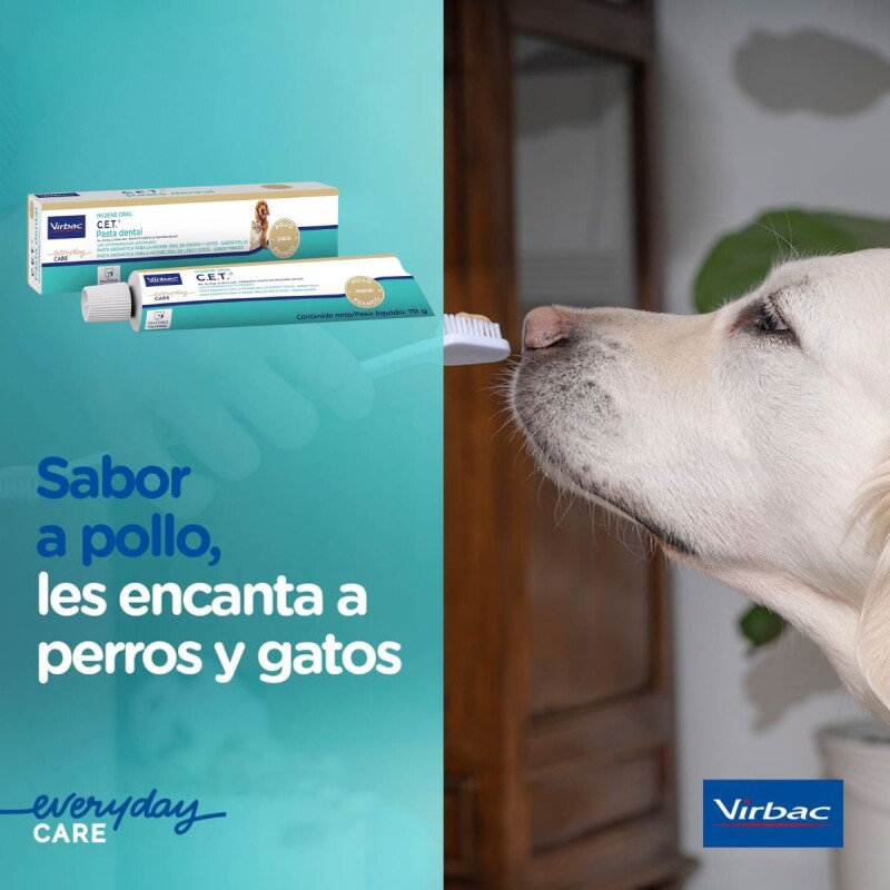PASTA DENTAL VIRBAC PARA PERROS Y GATOS KIT CON CEPILLO DE REGALO PASTA DENTAL VIRBAC PARA PERROS Y GATOS KIT CON CEPILLO DE REGALO