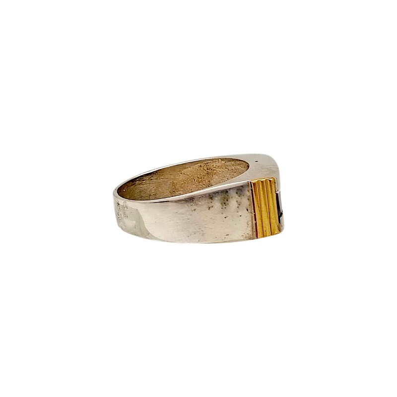 Anillo franja- Plata y Oro-Óix-AN5953 conpiedra