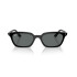 RB 4456/53 col 667781 polarized Rb 4456/53 Col 667781 Polarized