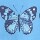 Remera Raglan Niña Blue Butterflies