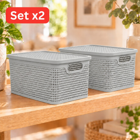 Set x2 Caja simil ratán 25 lts CAPPUCCINO