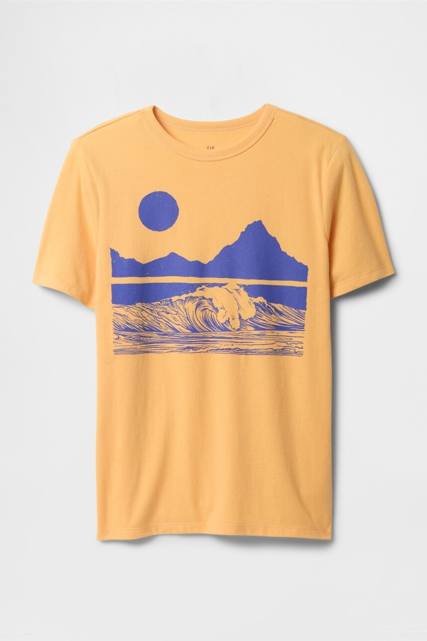 Remera Gráfico Niño Orange Nectar 660