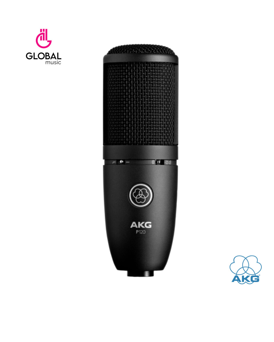 MICROFONO PROFESIONAL AKG P120 CONDENSER 