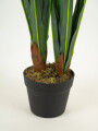 Planta Orchid 90cm Color Unico