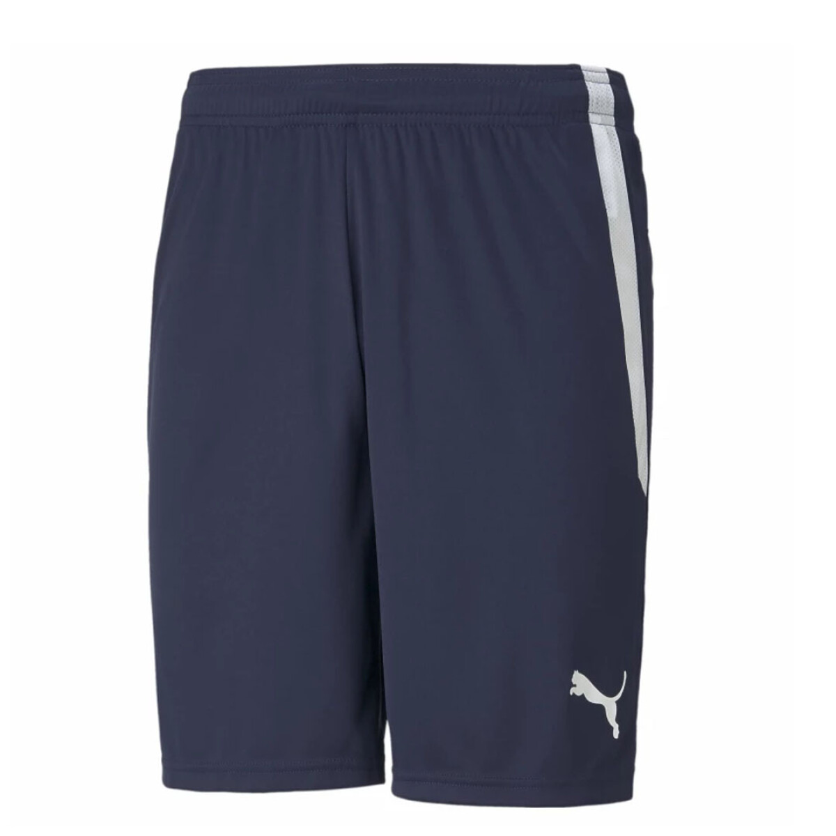 TEAMLIGA SHORT FUTBOL - PUMA 