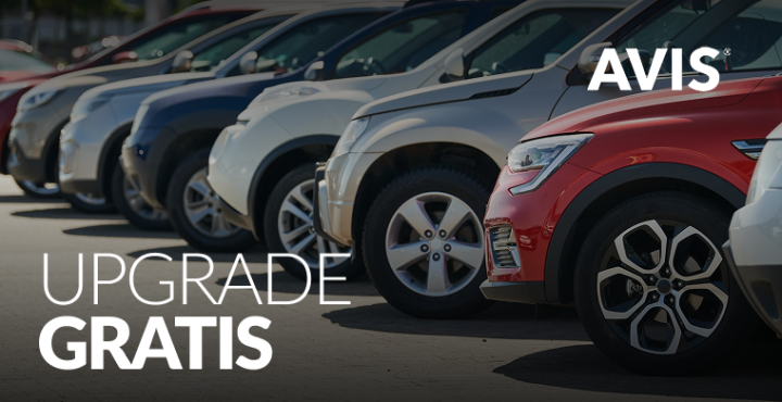 En Alquiler de autos