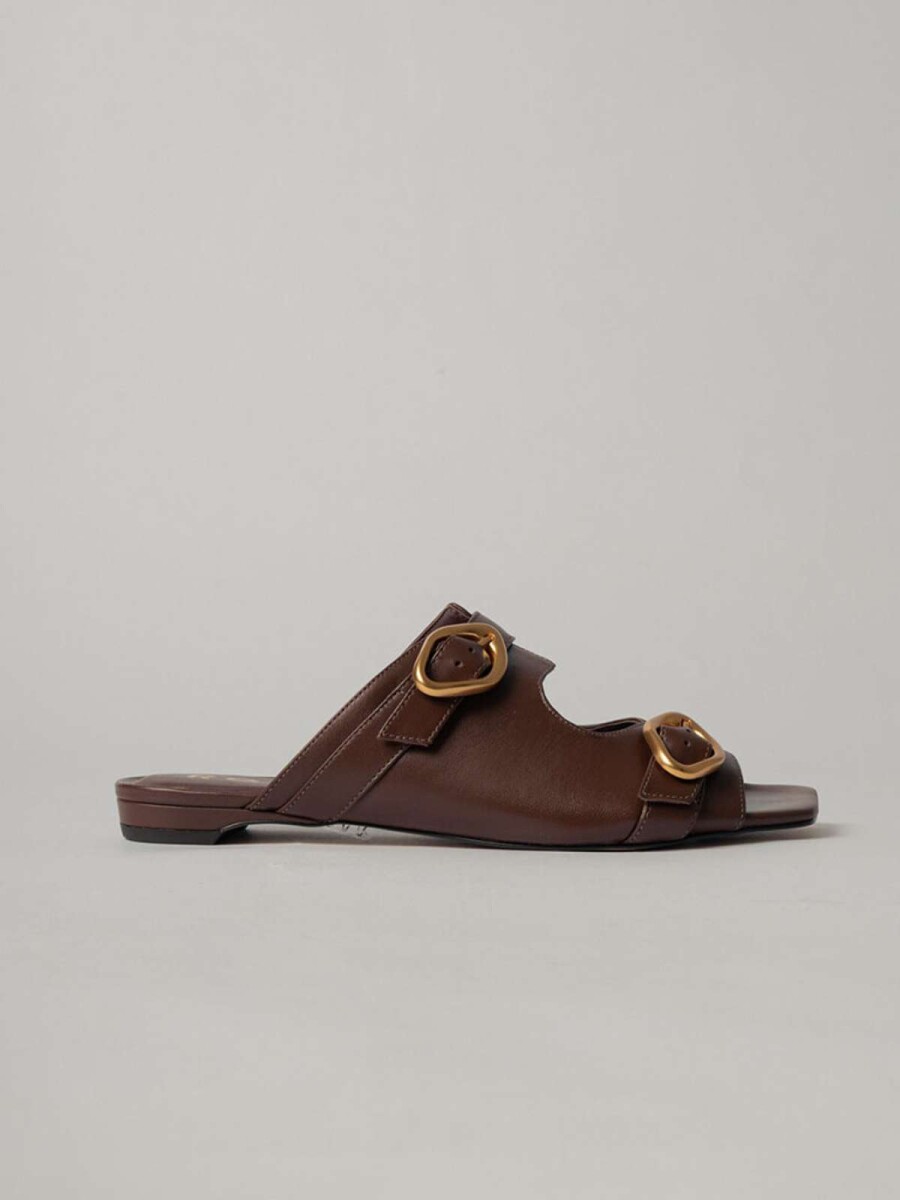 Plana Elena - Brownie 