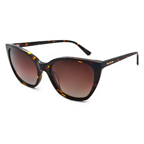 Lentes De Sol Chilli Beans Cat Gradiente Marón/Tortuga