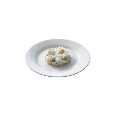 Plato Pando de Porcelana 23.5 cm Actualite Plato Pando de Porcelana 23.5 cm Actualite