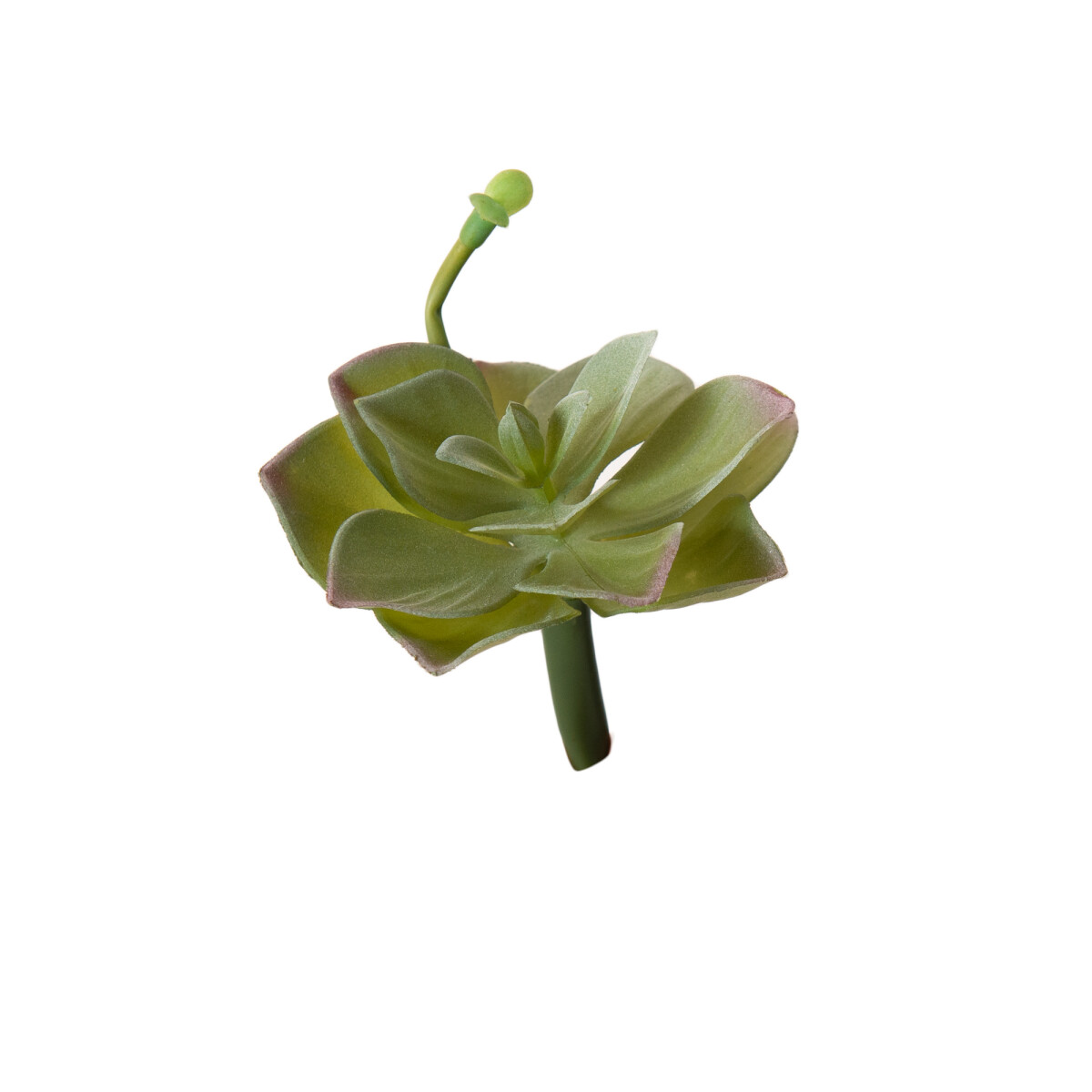 PLANTA ARTIFICIAL - PLASTICO GRIS LOTUS 