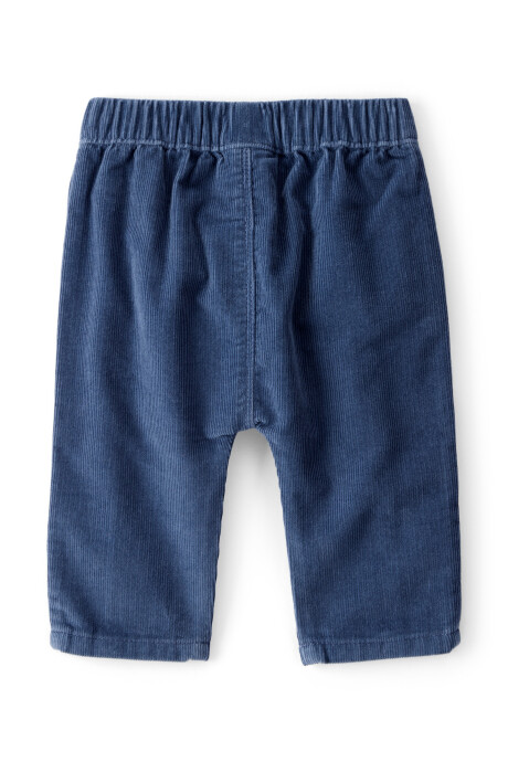 Pantalón de pana, azul Sin color