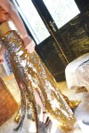 Mermaid Skirt Dorado Fuerte