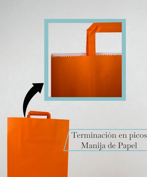 Bolsa lisa acuario 30x12x41 cm NARANJA