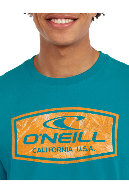 Remera O'Neill California Bloom Celeste