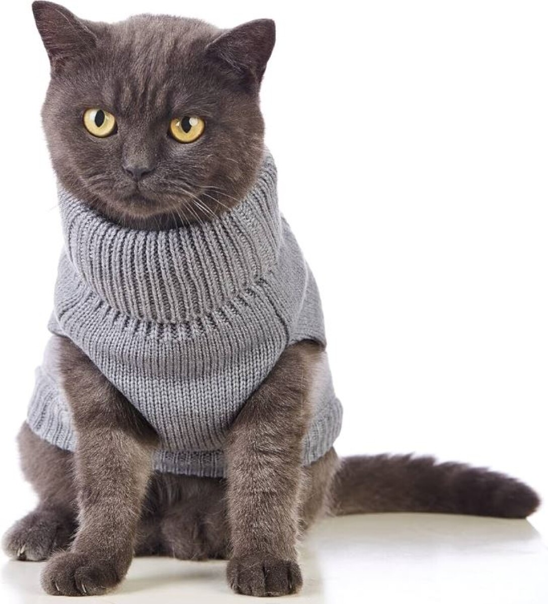 Sweater Para Gato Tejido 