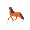 Colorea tu caballo Top Model Colorea tu caballo Top Model