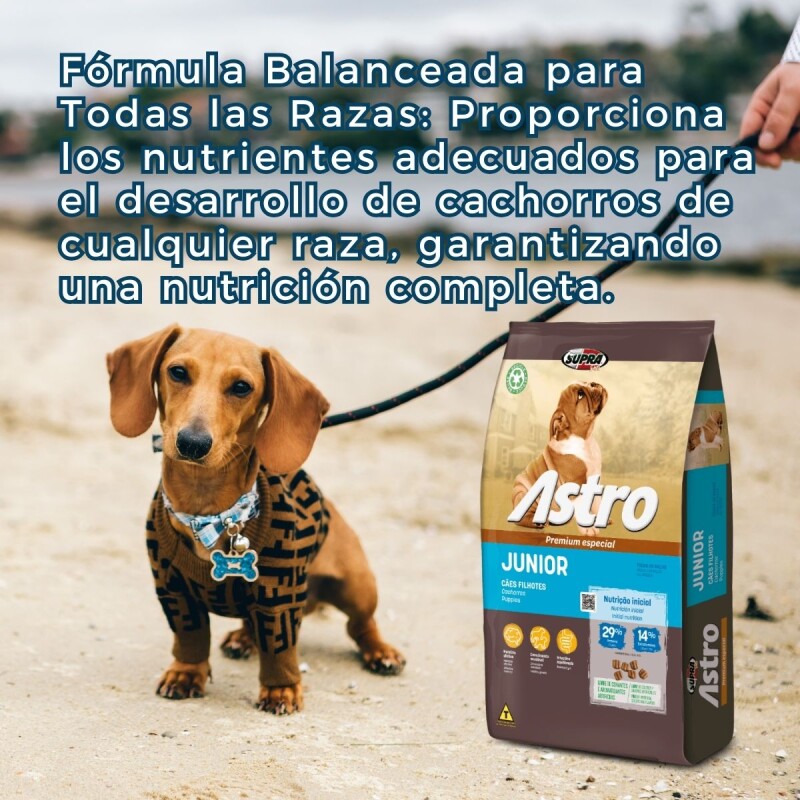 ASTRO CACHORRO PREMIUM ESPECIAL 14 KG + GUANTE QUITA PELOS DE REGALO ASTRO CACHORRO PREMIUM ESPECIAL 14 KG + GUANTE QUITA PELOS DE REGALO