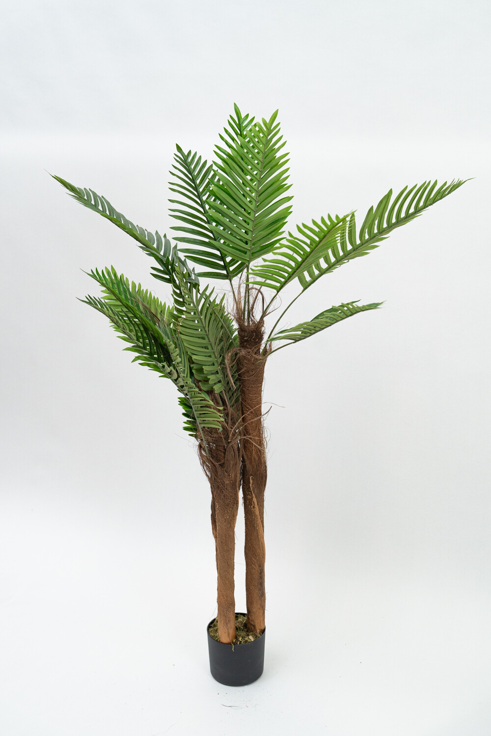 Planta Palmera 120cm Color Unico