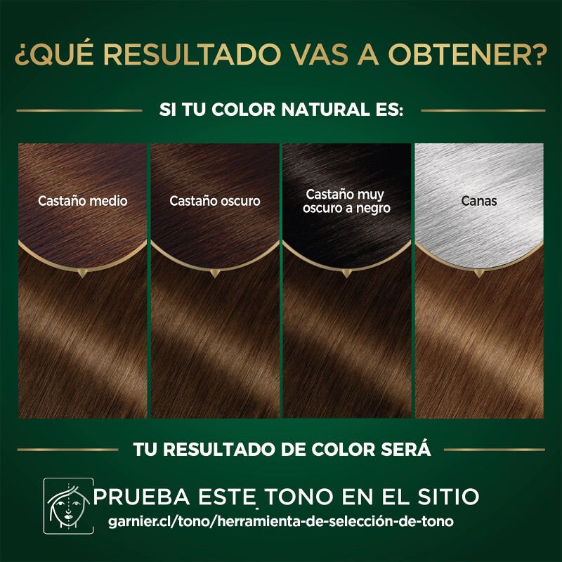 Tinta Garnier Nutrisse Oleos N°5.31 Castaño Dorado Cenizo Tinta Garnier Nutrisse Oleos N°5.31 Castaño Dorado Cenizo