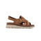 ZD13949 - KORIUM CAMEL
